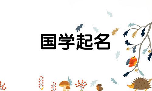 那个叫丹的女孩的意思。女孩丹的选择分析。