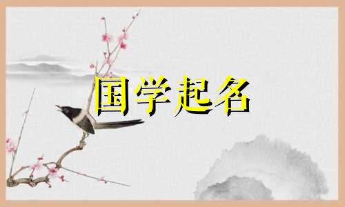 单词名称和单词五要素的最佳组合是什么？