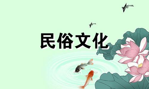 养竹子的风水禁忌有哪些 绿竹风水禁忌完整图解视频