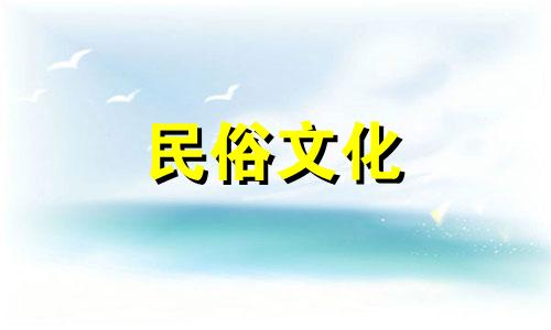 如何读取一个人的出生日期 查看员工的出生日期