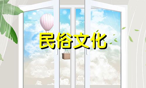 海螺壳应该放在客厅哪里 海螺饰品图片对比与风水禁忌