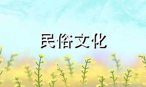 出生年月日查询表，查询出生日期 出生日期为2004年8月18日