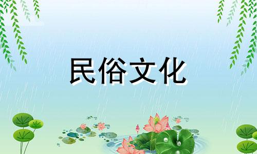 荆棘的风水禁忌有哪些?卧室摆放植物要注意什么?