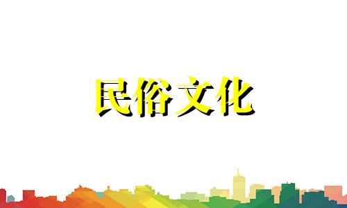 鹰嘴龟可以养吗？他们需要晒太阳吗？  办公室养鹰嘴龟的风水禁忌