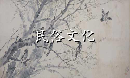 如何检查孩子五要素缺少什么 检查孩子出生年月日缺少什么