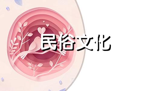 肾蕨的风水功效及家居摆放植物的风水禁忌