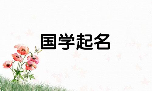 气字的五行属于什么？琪这个名字的含义是什么？