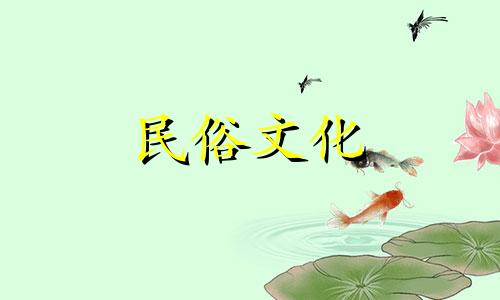 种植玉龙草的风水禁忌有哪些？玉龙草如何种植？玉龙草如何大面积种植