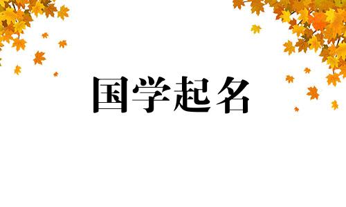 免费公司名称百科:选择公司名称时要注意什么?
