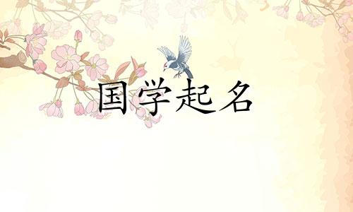 兔子男孩昵称2023年男性兔子昵称很时尚