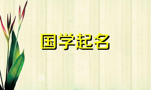伊名字的含义是什么为什么户口簿上不能登记“夷”字？