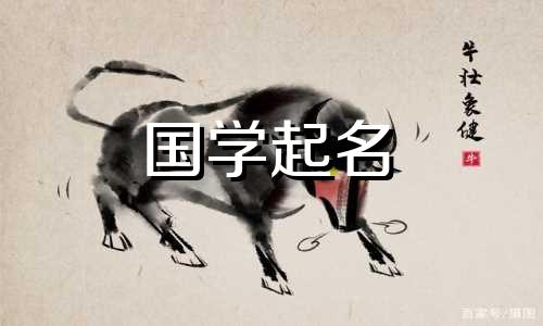 给带“王”字的女孩起名要注意什么？