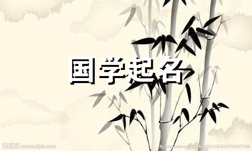 有着凶猛又可爱的奶子的绰号，让男人有一种保护欲。