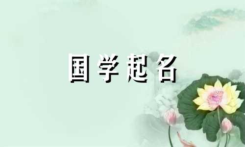 2023年出生的男孩昵称大全:兔,最流行的兔年出生的孩子的昵称