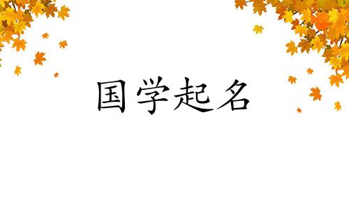 具有良好水属性的角色。五行中水元素最旺的人物。