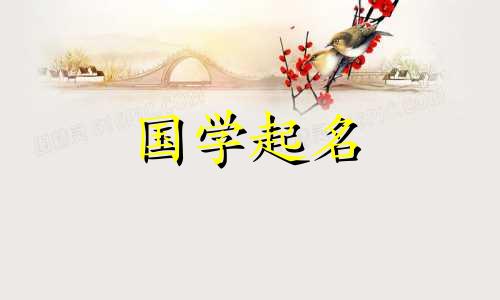 2023年属兔男宝宝的最佳名字。 兔年出生的男孩的男性名字
