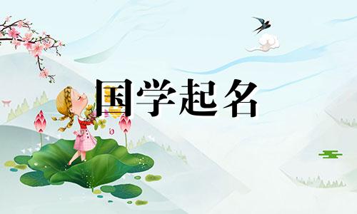 乍一看很干净的女兔子起什么名字最好？