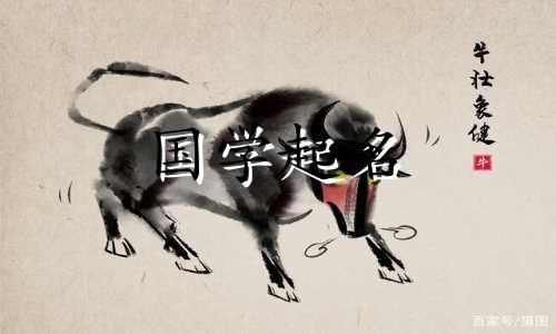 网易云名字推荐超级好听又独特