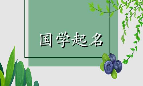 Jin 和 Jing 哪个更好？ “靖”字，是给虎宝宝取名的最佳字。