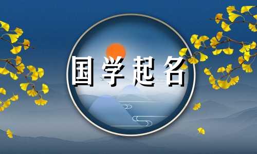 难得一见的王姓兔男孩名字。