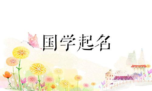 公司名称中不能使用哪些词语？