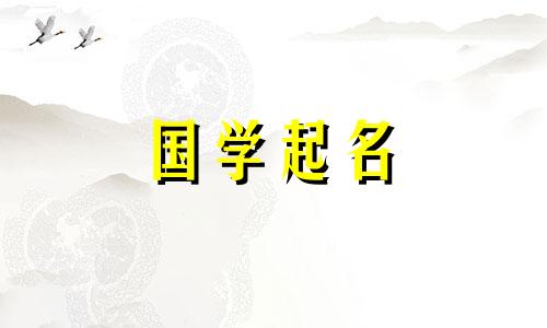 自由阳光的周姓男孩名字大全