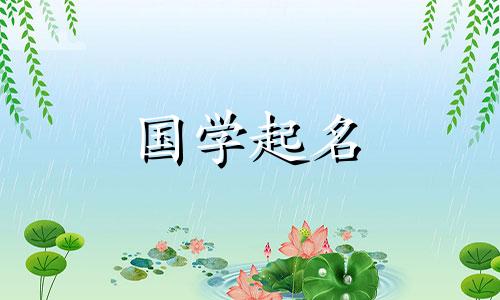 孙大奇男孩的名字很独特