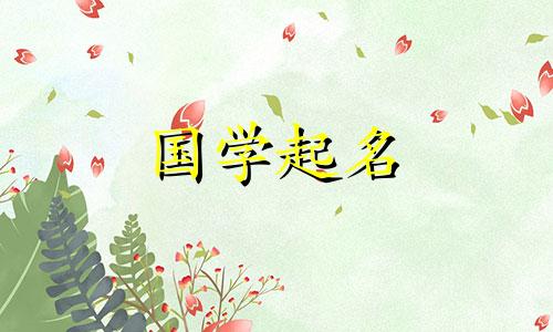 翔这个名字的含义是什么？