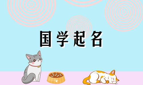 一个叫程的男孩是什么意思？