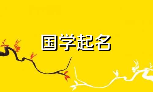 为什么有人说“子”就是棺材?