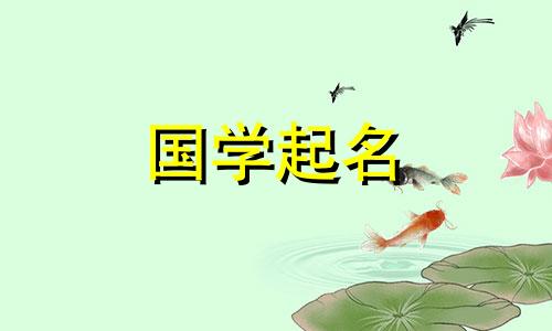 外国名字用什么字好呢？