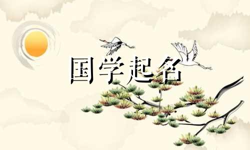 清子名字的含义及寓意