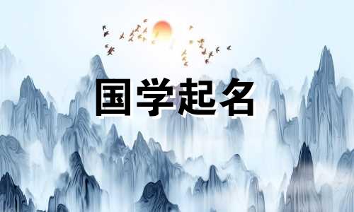 这个男孩的名字带有“苏”字，意思是阳。这是一个听起来恰到好处的男婴名字。