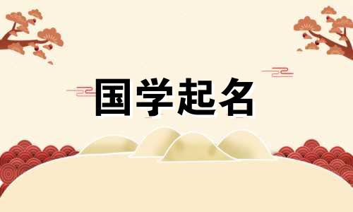 哪个公司名字最适合当地人？公司名称分析