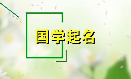 适合当地人的公司名字