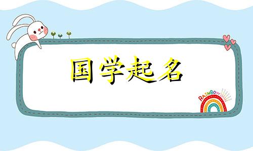 个性化公司名称的集合。独特且高端的企业名称。