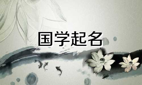 窦姓女孩的名字是女孩的学名，寓意温柔、优雅。