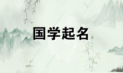 分数高好听的六字公司名完整列表