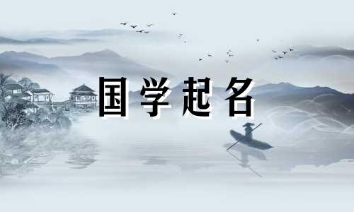 天七这个名字是不是太大了？