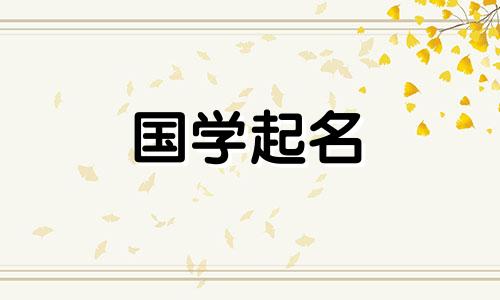 博这个名字的含义是什么？