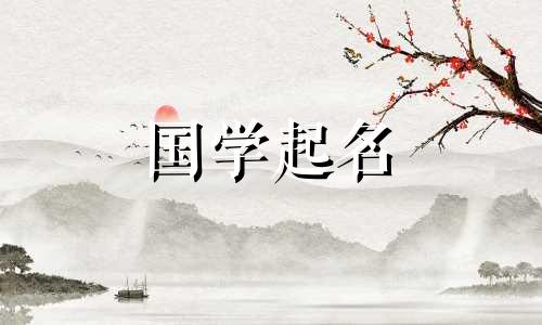 男孩名字的含义是什么？男婴的名字是有含义的。