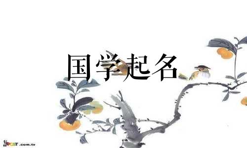 岳姓女孩推荐高端优雅的姓氏