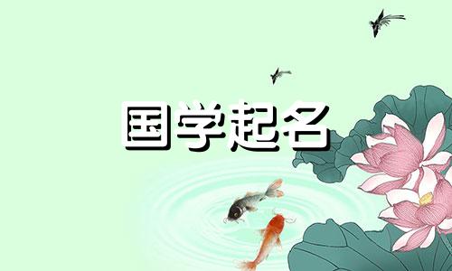 带有“汉”字的名字的含义。韩字女生五行名字大全