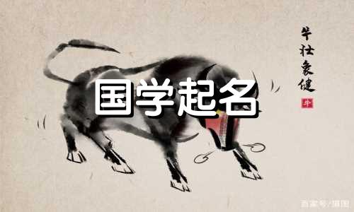 一个朗朗上口、有吸引力的吃鸡网络名称。吃鸡的网名霸气超酷。