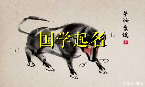 简洁洋气的英文网名，高贵气质的欧美风格昵称