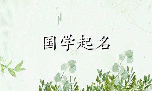 优雅有教养又带有书卷气质的女孩名字