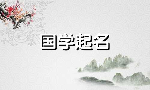 这两个词在公司名称中具有象征意义,公司应以繁荣和财富命名。