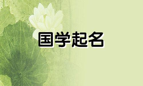 互联网公司命名原则及名称建议