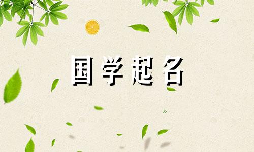 适合牛年出生的男孩的名字。优雅又气质的男孩名字。