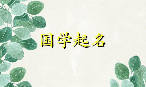 一个好听又俏皮的单词重叠英文名，一个高贵流畅的英文网名